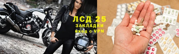 стаф Алзамай