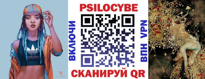 купить наркотик  Вичуга  Галлюциногенные грибы Psilocybine cubensis 