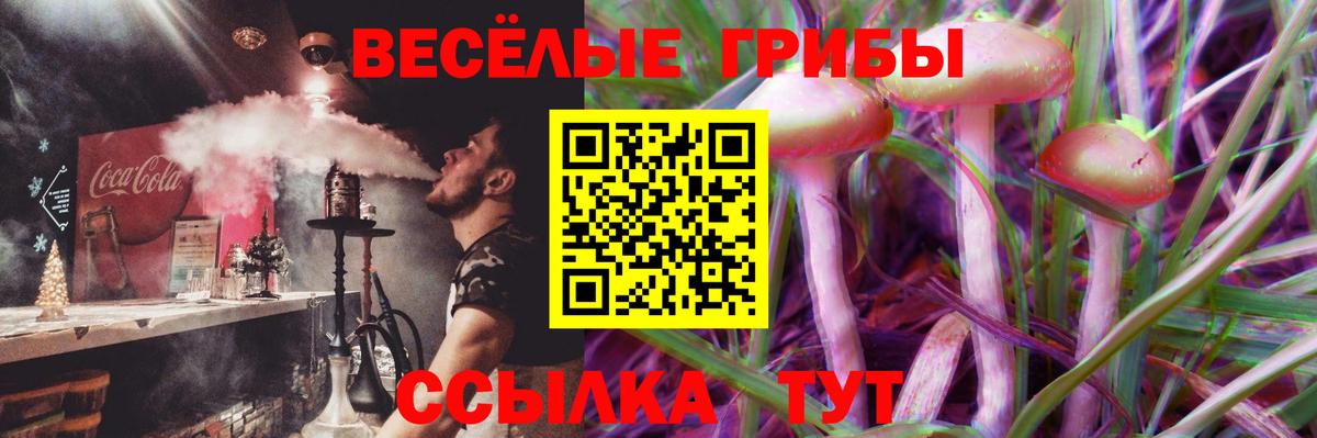 Псилоцибиновые грибы прущие грибы Вичуга